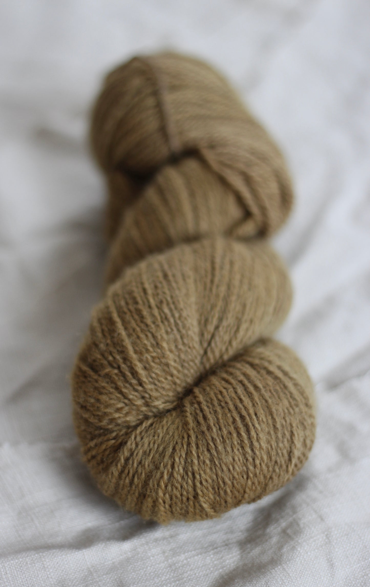 Rivendell DK - Preorder